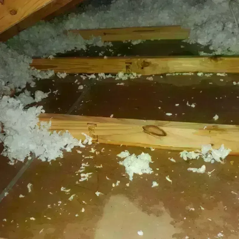 Attic Water Damage in Rhinebeck, NY